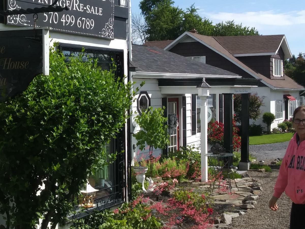 The Guest House At The Regina House Tea Room Moosic Extérieur photo